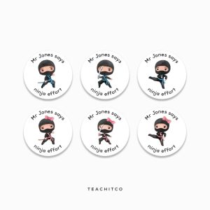 Ninja Merit Stickers