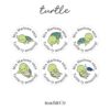 Merit Stickers Turtle