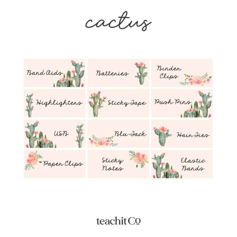 Teacher Toolbox Labels Cactus