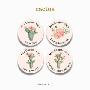 merit stickers cactus