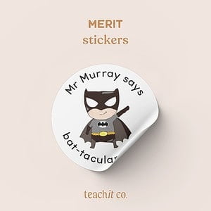 Teacher Merit Stickers